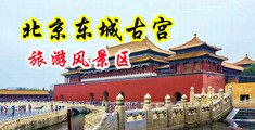 性爱肛交馒头逼嫩穴中国北京-东城古宫旅游风景区